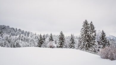 Snowfall in Sonamarg