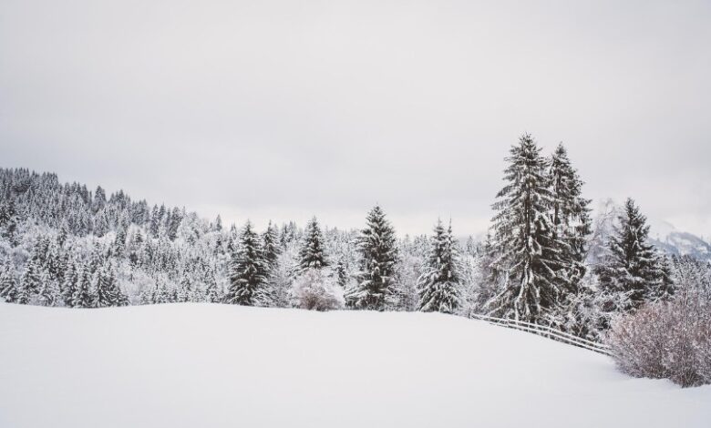 Snowfall in Sonamarg