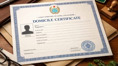 RTI Data Shows High Volume of Applications, Appeals on J&K Online System