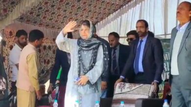 Mehbooba Mufti Flags Delimitation Concerns, Criticizes Govt in Kupwara