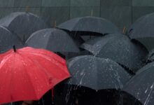 Rain, Snow Likely Across J&K on April 7–8, Authorities Warn of Flash Flood Risk