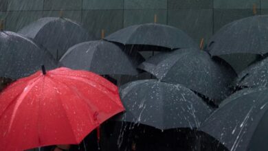 Rain, Snow Likely Across J&K on April 7–8, Authorities Warn of Flash Flood Risk