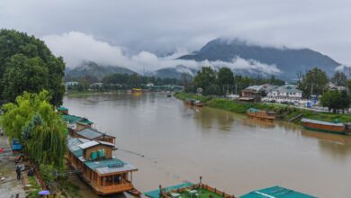 All Rivers Flowing Below Danger Levels After Fresh Rainfall Across J&K