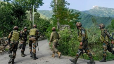 Para Commandos, Choppers Intensify Search as Rajouri Forest Operation Continues