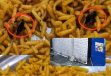 Food Safety Department Seals Srinagar’s Lal Sheikh & Sons After Customer Finds Cockroach in Biryani