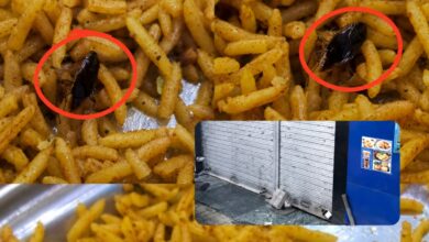 Food Safety Department Seals Srinagar’s Lal Sheikh & Sons After Customer Finds Cockroach in Biryani