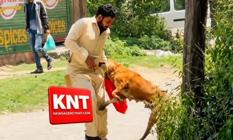 FIR Filed Under Animal Cruelty Act as Social Media Backs Men Seen Saving Victim