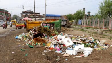 Garbage Piles Outside Kashmir University Raise Health, Civic Concerns