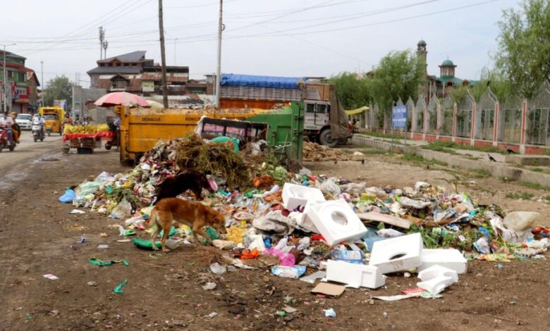 Garbage Piles Outside Kashmir University Raise Health, Civic Concerns