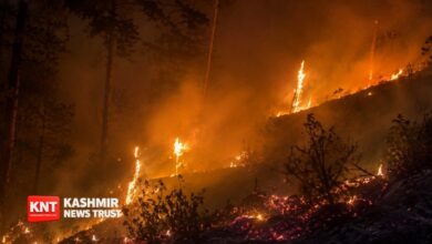 Late-Night Hill Fire Near Bidda Morh Spreads Toward Road in Reasi