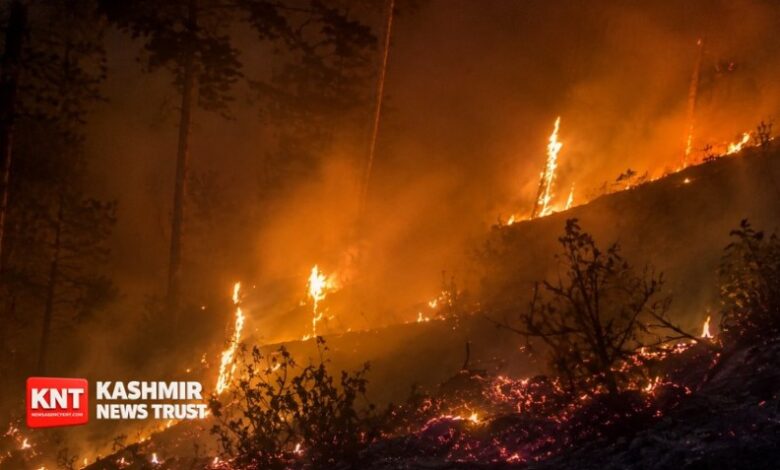 Late-Night Hill Fire Near Bidda Morh Spreads Toward Road in Reasi
