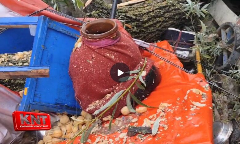 Gusty Winds: Non-Local Vendor Injured After Tree Falls in Sumbal