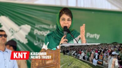 Mehbooba Mufti Seeks Release of Detainees Ahead of Eid, Pushes Trade and Dialogue Roadmap