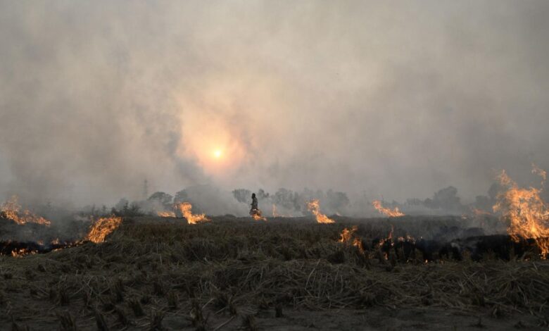 Stubble Burning Prohibited in Kathua Amid Pollution Concerns, Enforcement Intensified