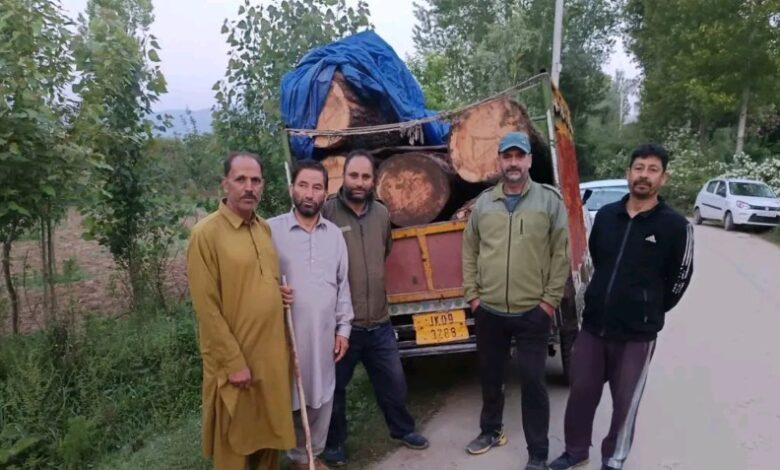 Night Operation Leads to Timber Seizure in Kupwara's Qaziabad Area